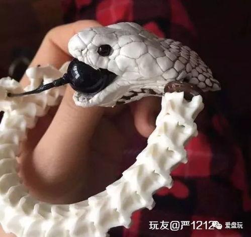 蛇生产视频